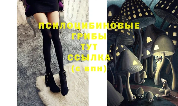 таблы Медвежьегорск