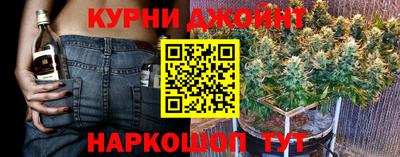 индика Канаш