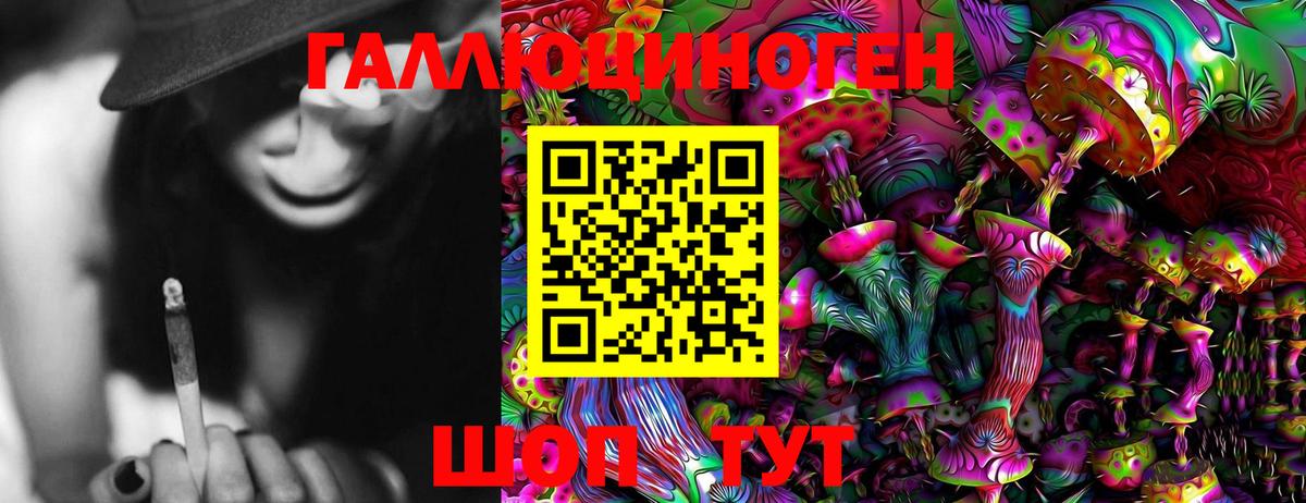 Псилоцибиновые грибы Magic Shrooms  Ростов-на-Дону  Псилоцибиновые грибы Psilocybine cubensis 